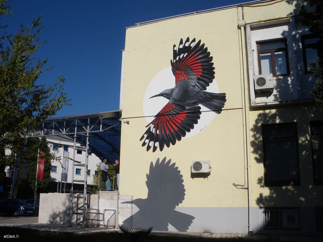 Façade du Centre Culturel de Podgorica<br/>
Acrylique - 35m2 env.<br/>
Monténégro - 2015 - <em><a href="
http://etien.fr/facade-au-montenegro/" target="_blank">voir + de photos</a></em>
