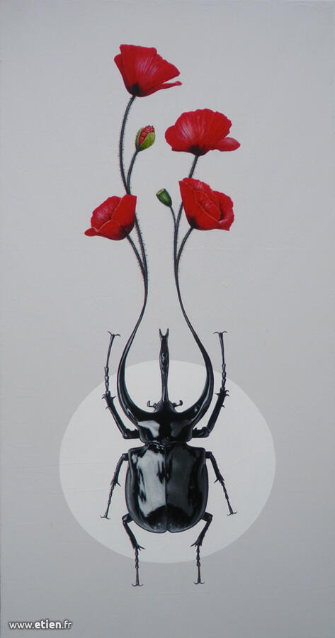 etien scarabee fini1 - Étien' / Fresque murale et anamorphose, conception et réalisation