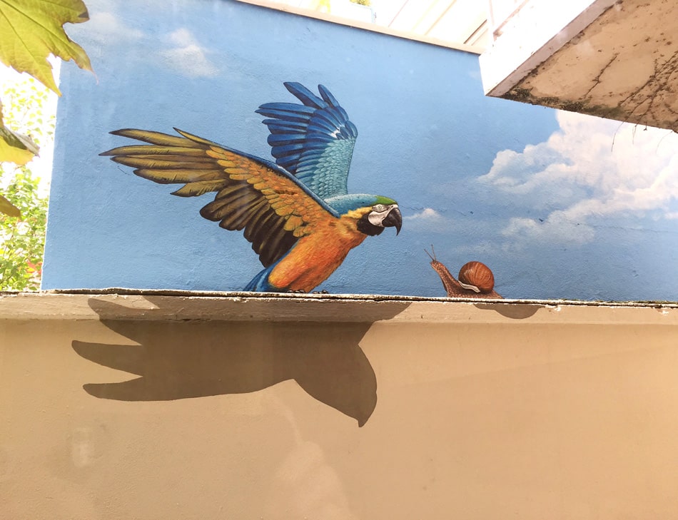 fresque perroquet
